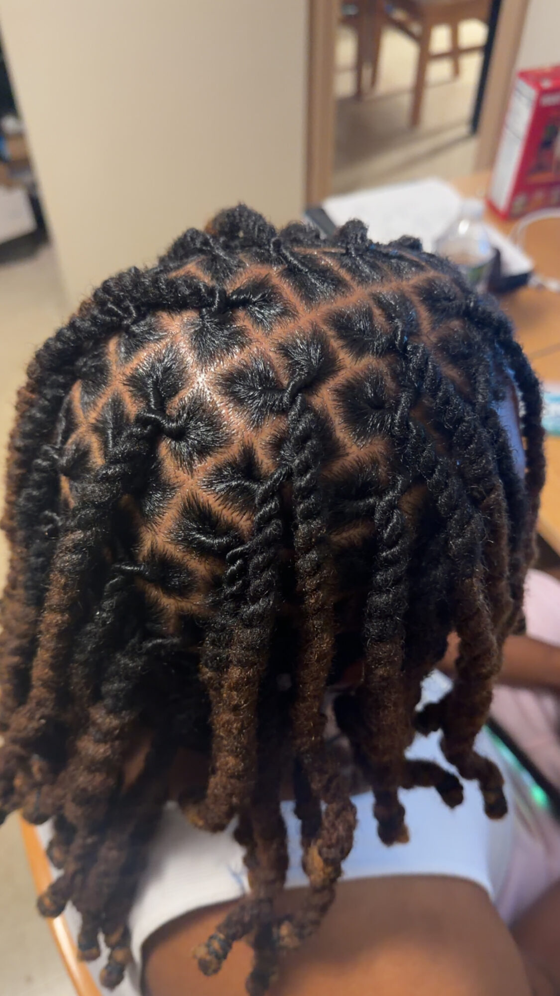 Close-up of a person's head with neatly styled dreadlocks, showing intricate parting and twists.