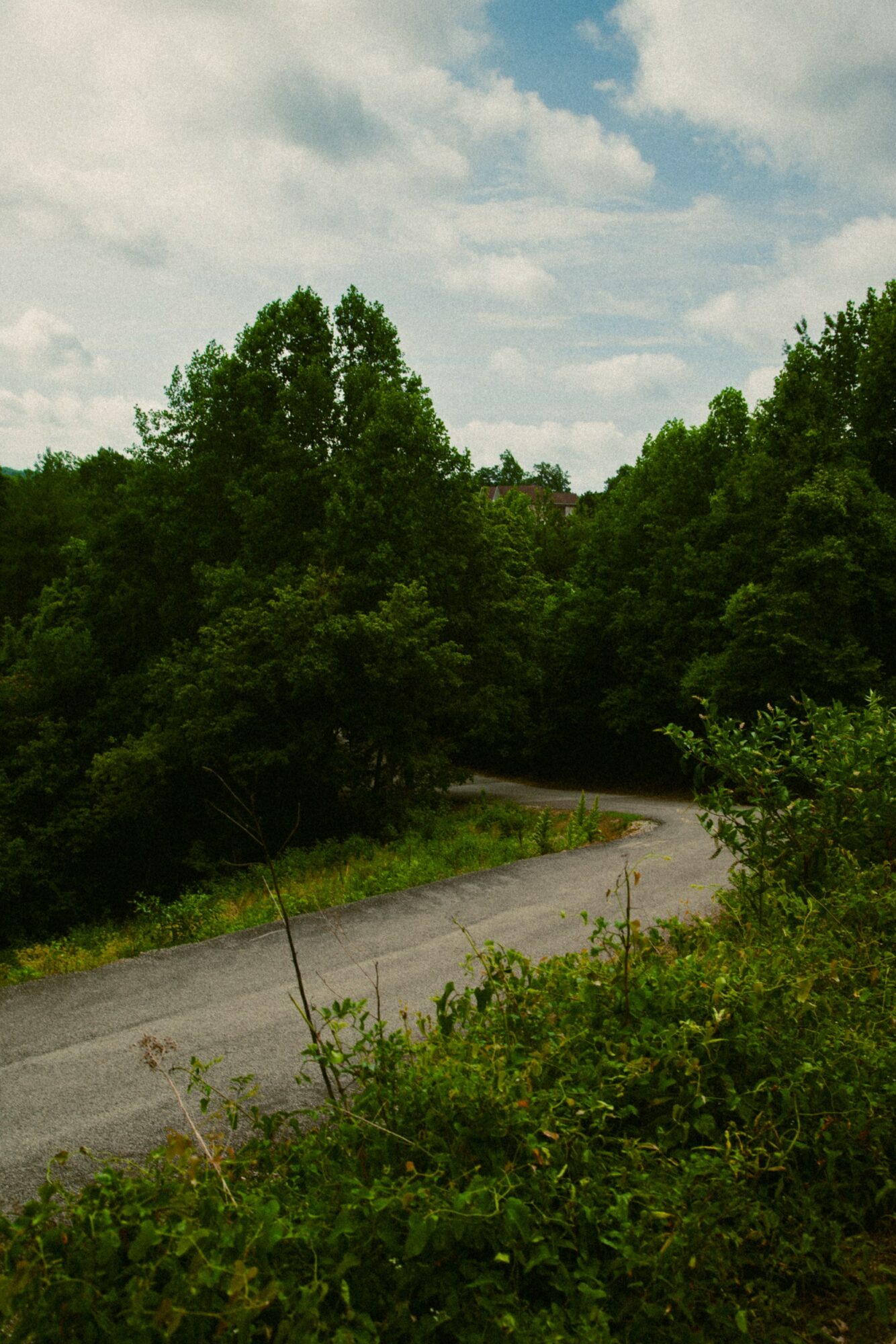 A winding gravel path through dense green trees and bushes under a partly cloudy sky.