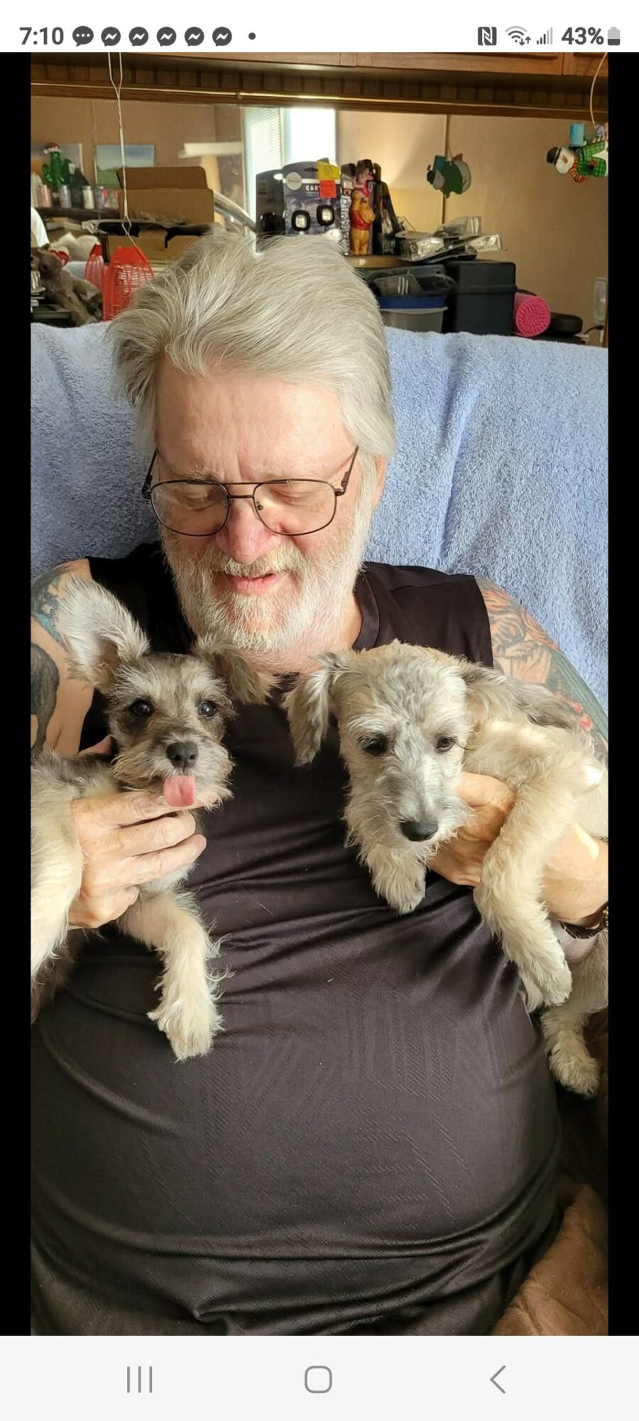 Elderly man with glasses holding two small puppies, sitting on a couch in a room with shelves and decorations.