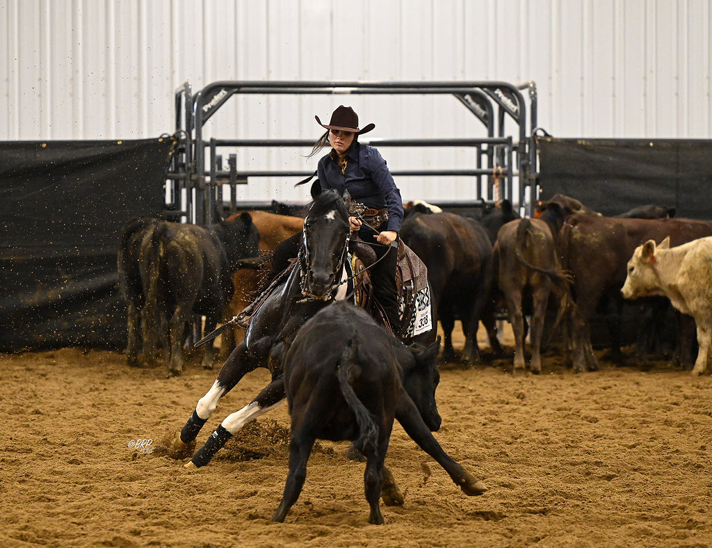 Person riding a horse in an indoor arena with cattle in the background.