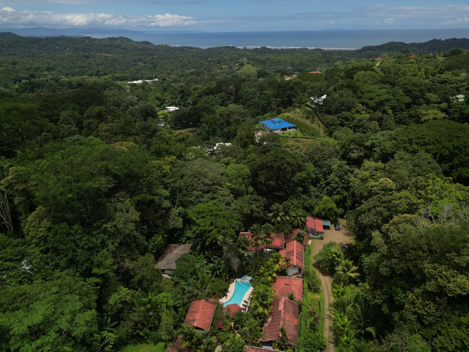 Aerial view of a lush green landscape with houses, a swimming pool, and dense trees, under a partly cloudy sky.