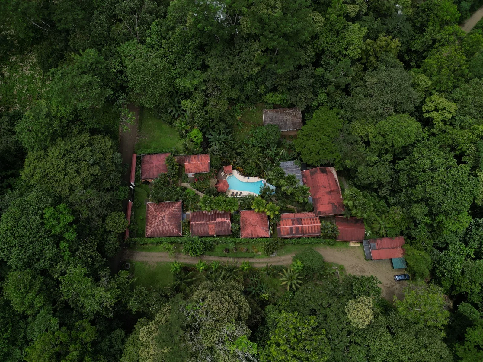 A house with a swimming pool surrounded by dense green trees and a driveway, viewed from above.