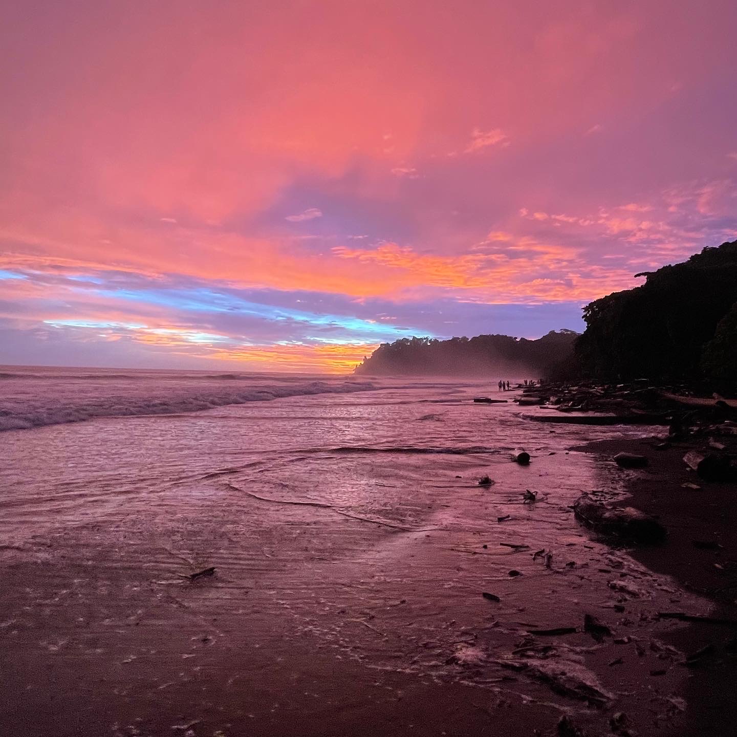 Sunset over a beach with pink and purple sky, calm water, and a silhouette of trees on the right.