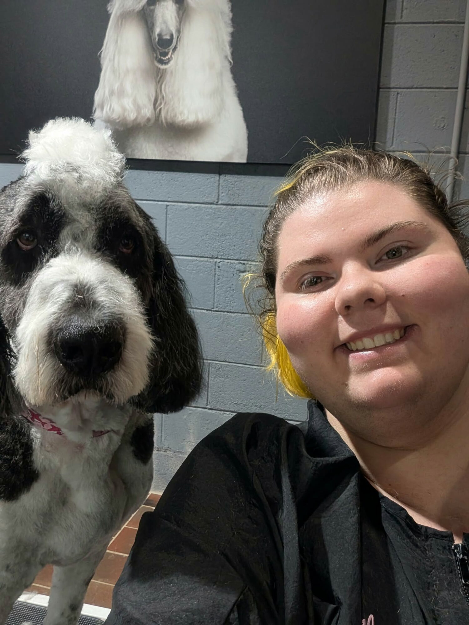 Person smiling with a black and white dog, brick wall background, framed picture of a poodle above.