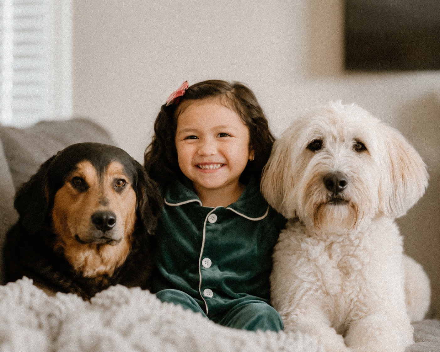 Child smiling with two dogs on a couch, one black and tan, the other white and fluffy.