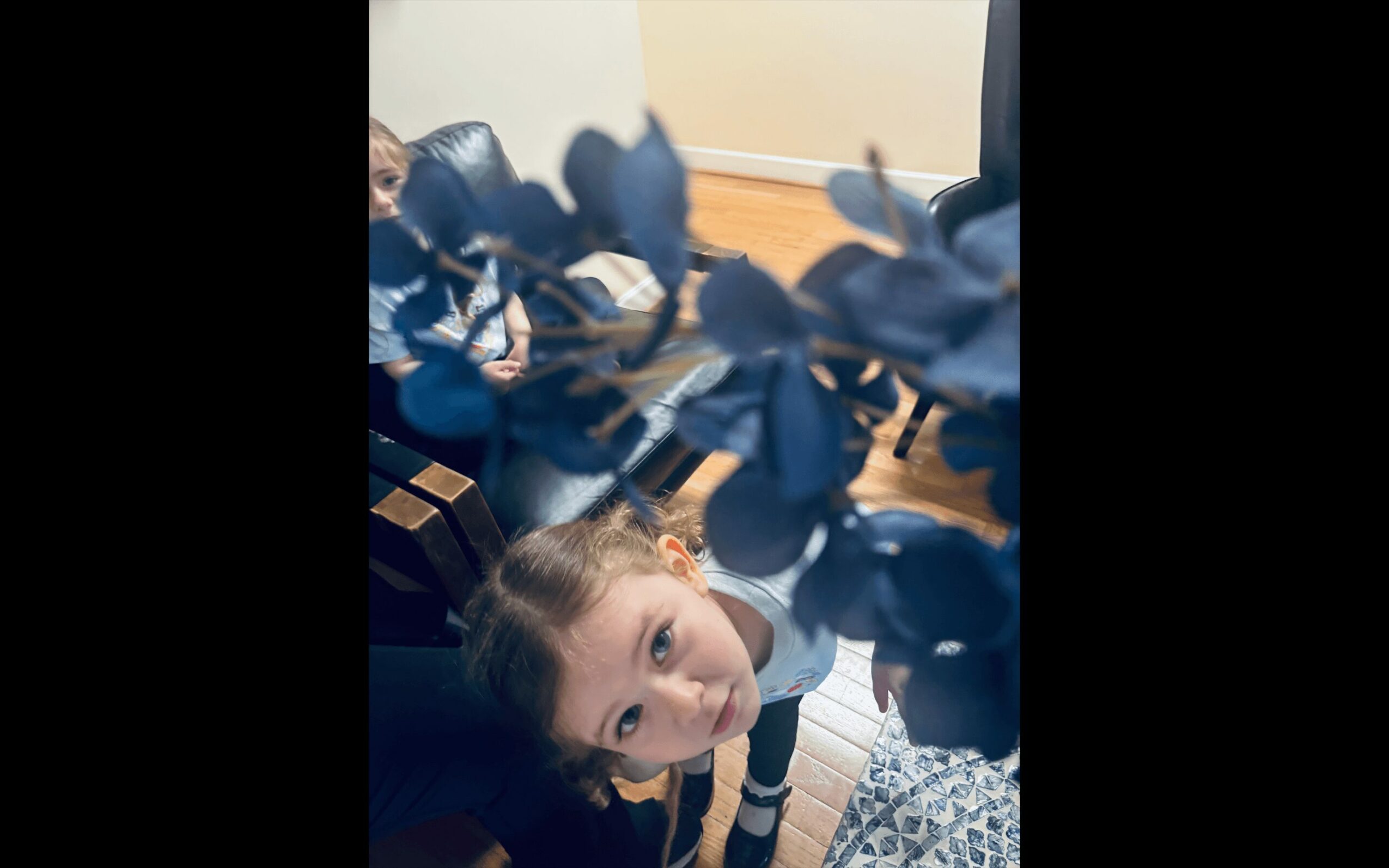 Child looking up at the camera with a plant in the foreground, indoors with a wooden floor and patterned rug.