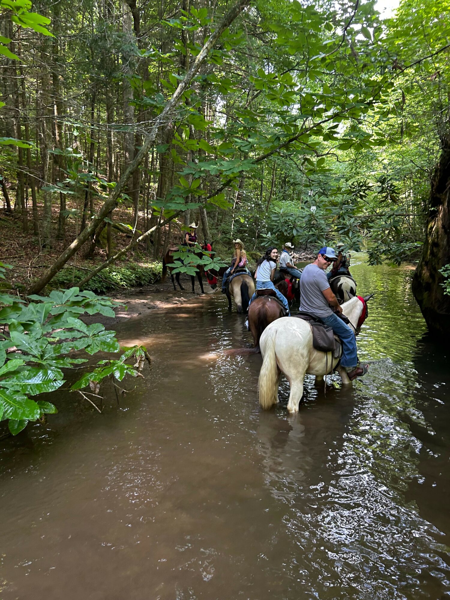 People riding horses through a shallow river in a lush green forest, with trees and foliage around.