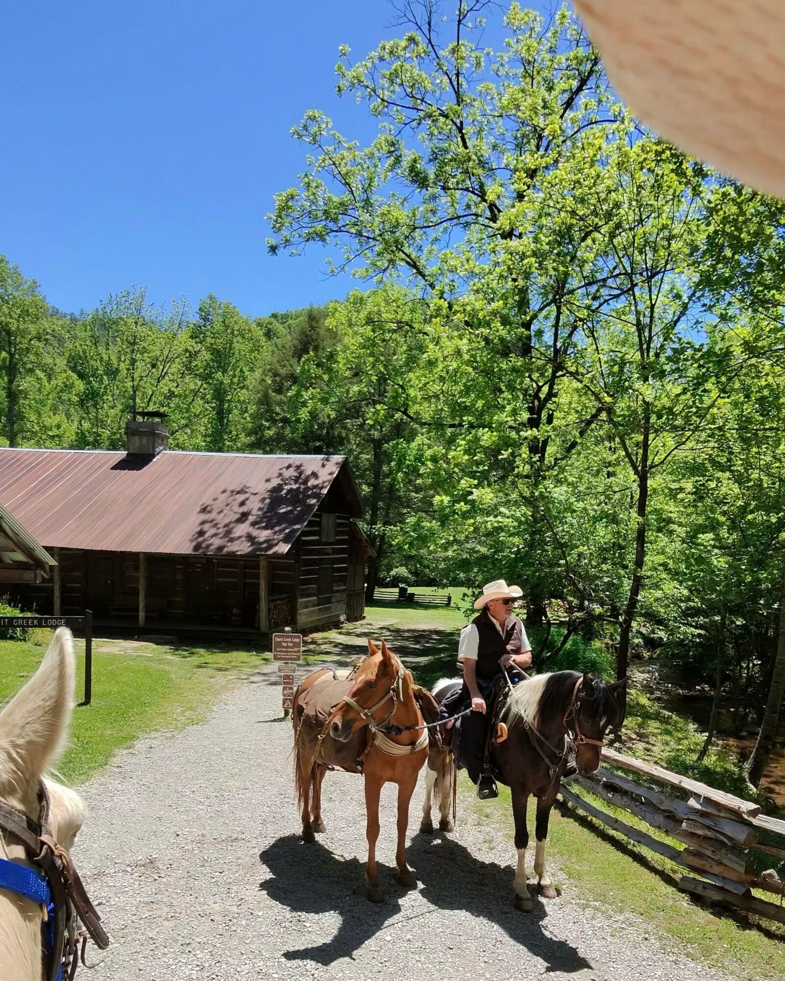 Person riding a horse with a child on a horse, in a rural setting with trees and a wooden building.