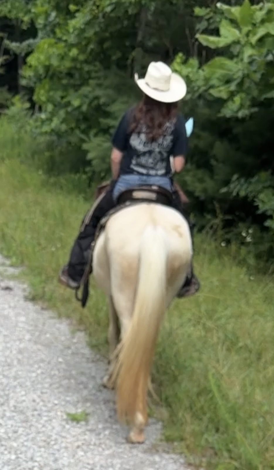 Person riding a horse on a grassy path, wearing a hat and dark clothing, surrounded by green foliage.