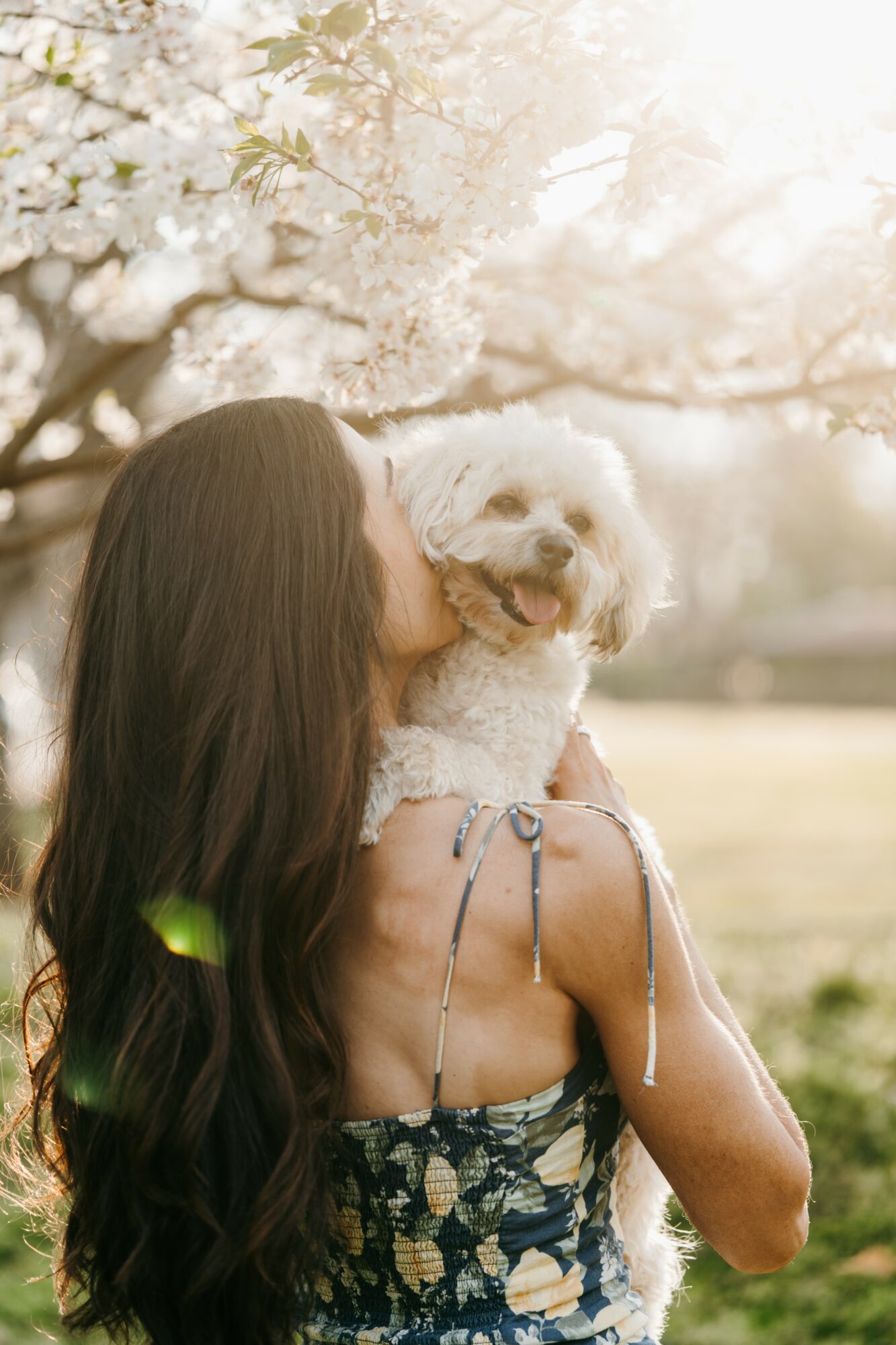 Person holding a small white dog outdoors near blooming trees, with sunlight filtering through branches.
