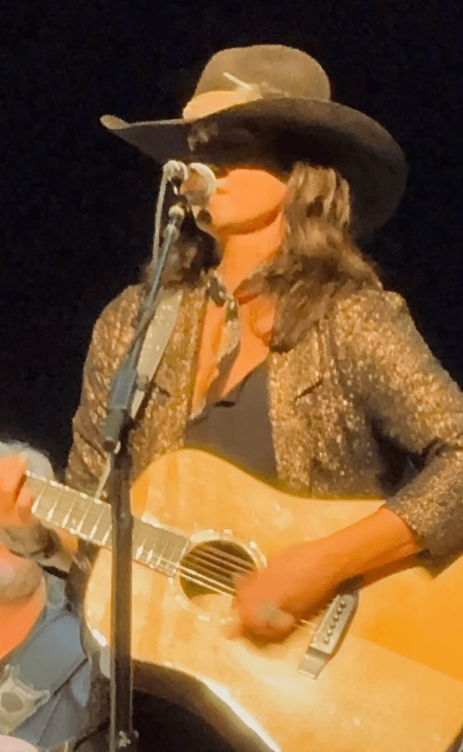 Person wearing a wide-brimmed hat, singing into a microphone, playing an acoustic guitar, with a glittery jacket, on stage.
