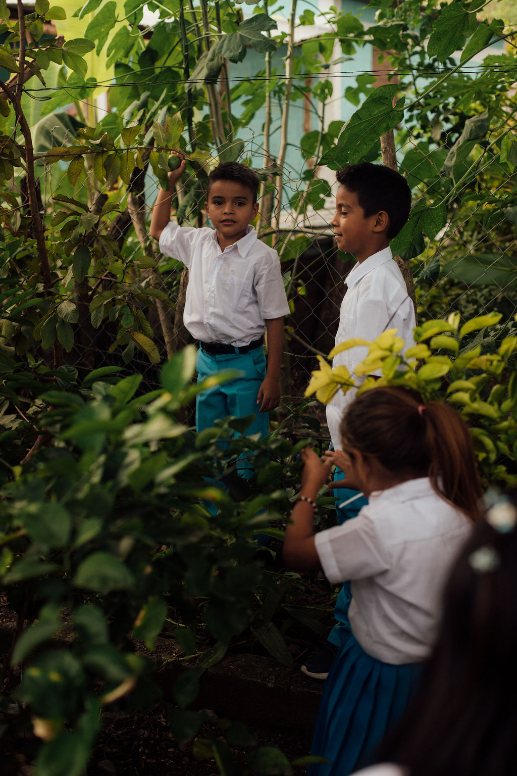 Three children in school uniforms among green plants outdoors, two boys standing and a girl sitting, engaged in conversation.