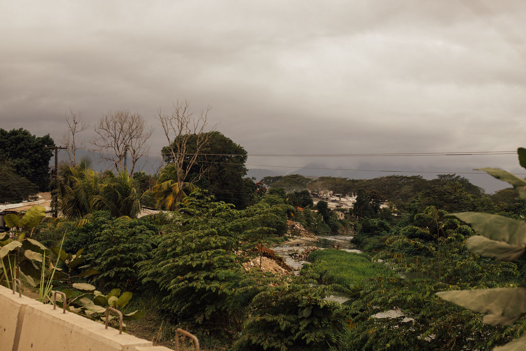 Landscape with trees, cloudy sky, and distant view of water or horizon, viewed from an elevated position.