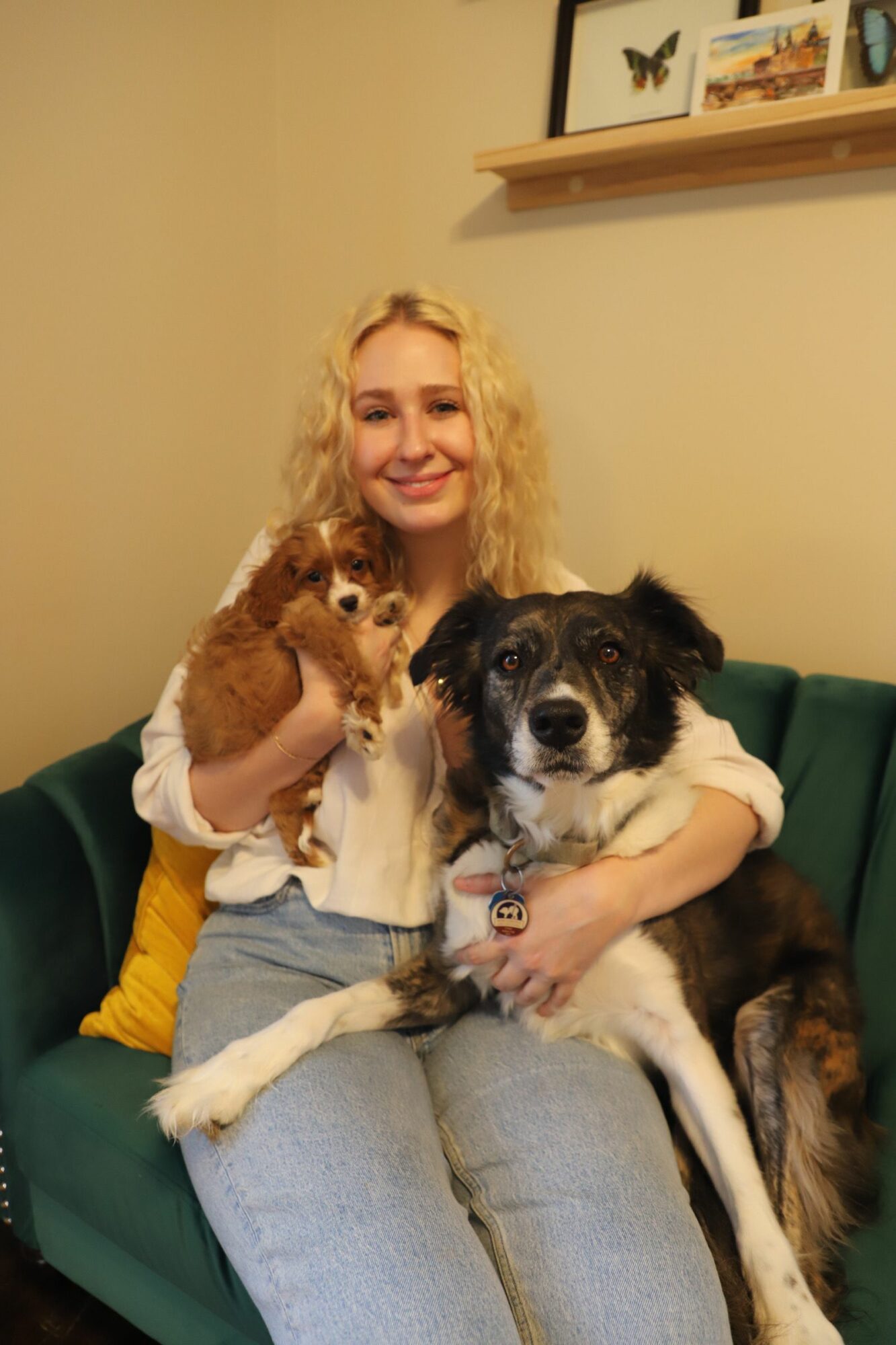 Woman holding two dogs, one black and white, one brown and white, sitting on a green couch indoors.