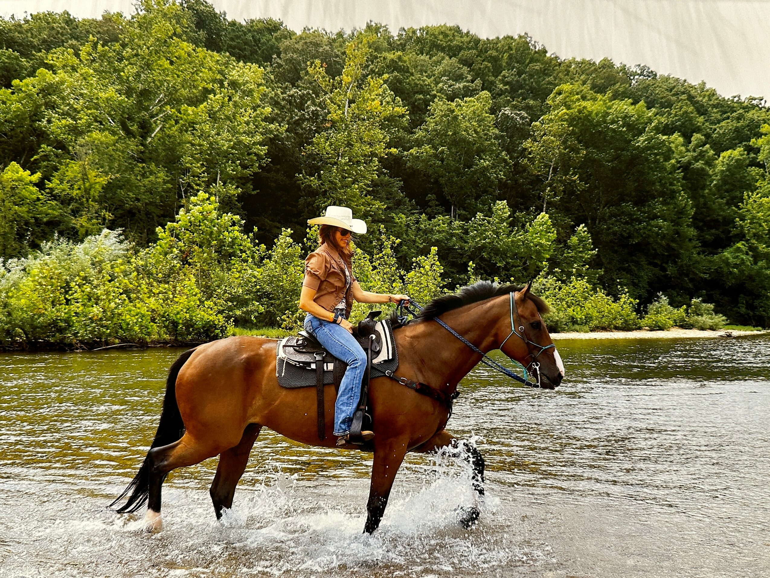 Person riding a horse through a river with green trees in the background.