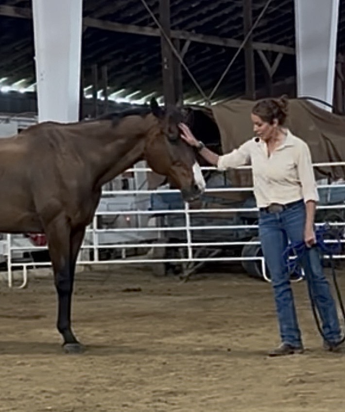 Woman petting a horse inside a stable with metal beams and fencing, woman wearing a white shirt and jeans.