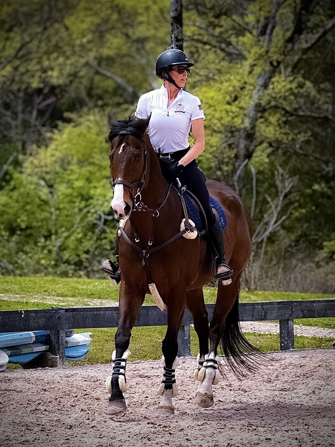 Person riding a horse outdoors with trees in the background, wearing a helmet and white shirt.