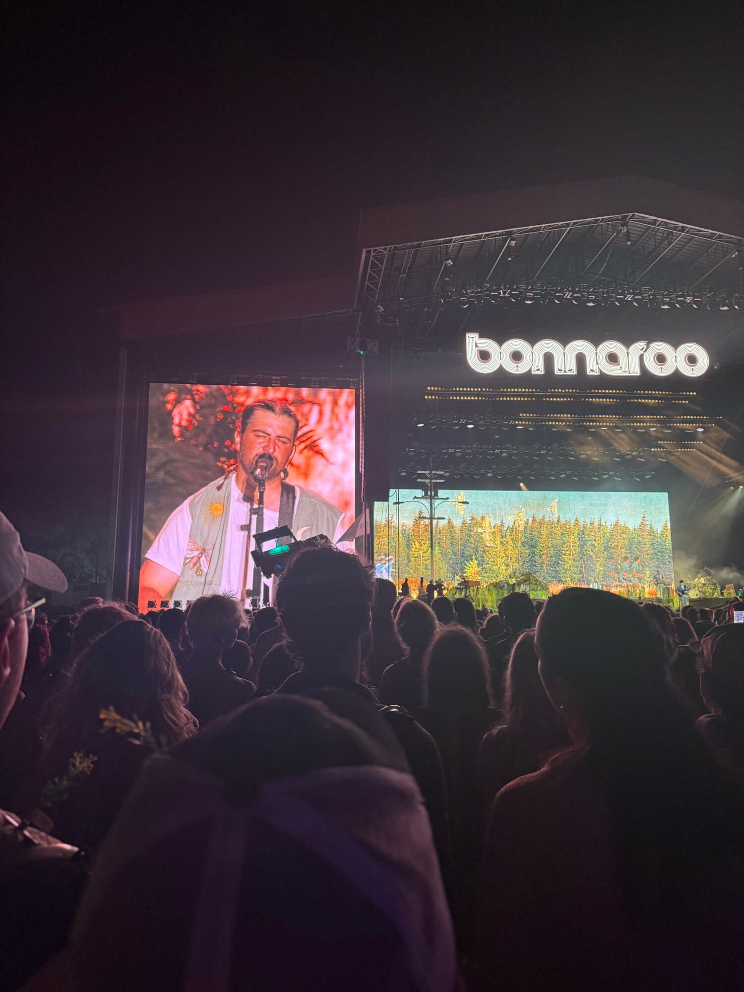 Crowd watching a concert with a large screen showing a performer, stage with Bonnaroo sign, night setting.