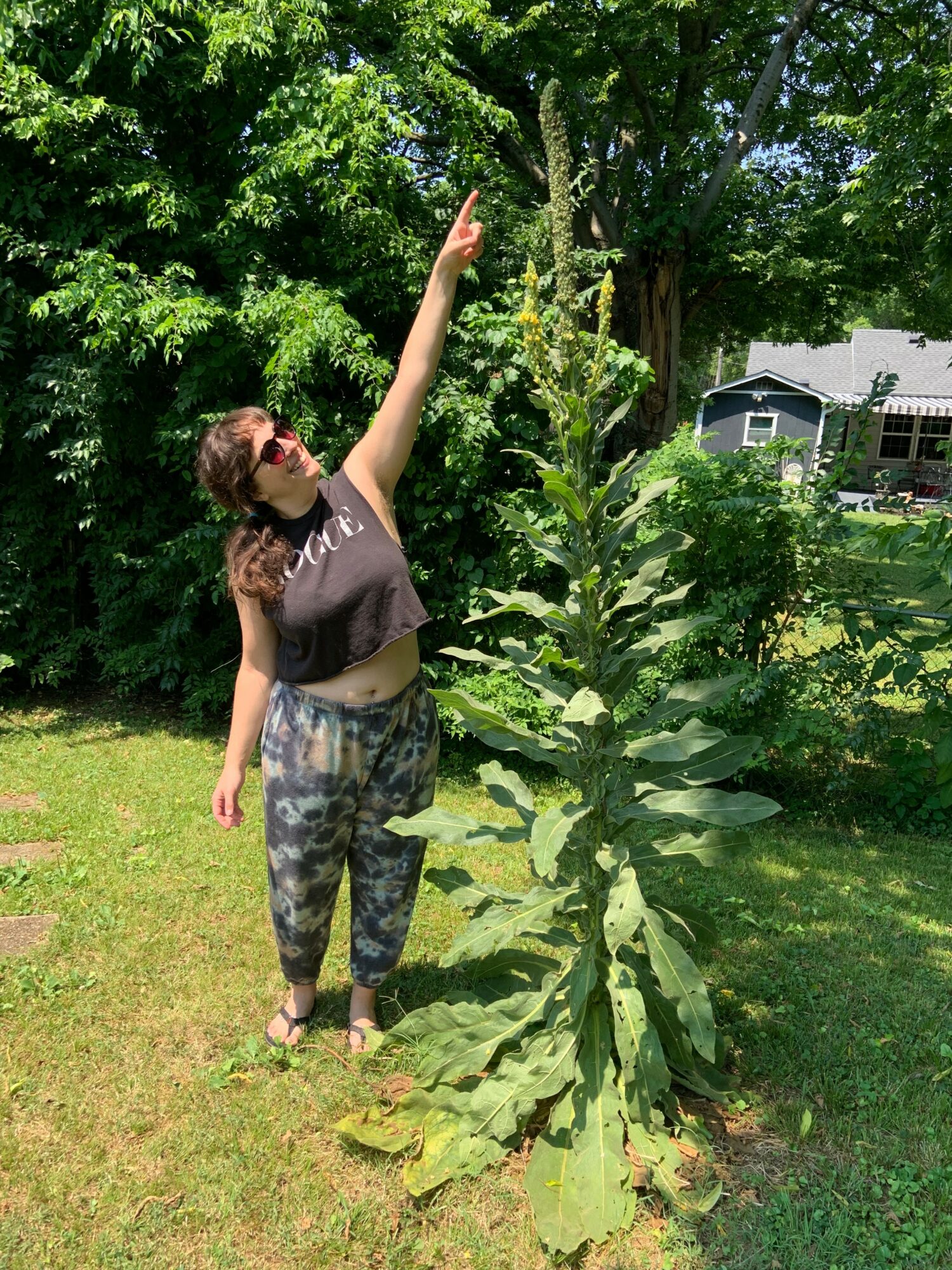Woman with sunglasses and patterned pants points upward next to a tall plant in a grassy yard with trees and a house in the background.