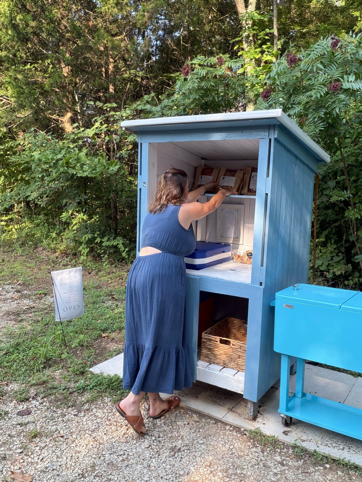 Woman in blue dress reaching into a blue mailbox outdoors, surrounded by trees and plants, with a basket below and a blue table nearby.