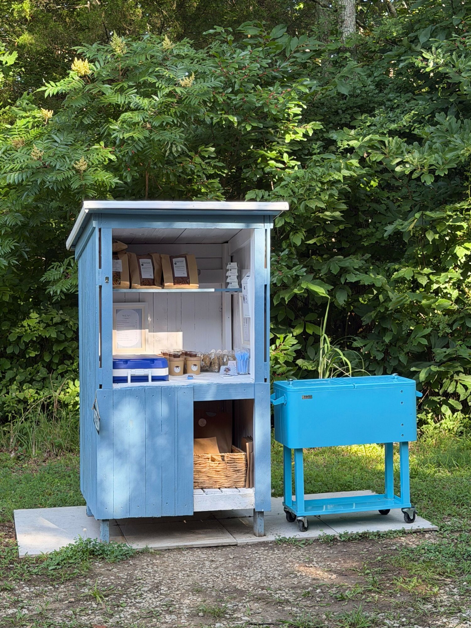 Small blue playhouse with a blue slide, surrounded by green trees and grass, viewed from the side.