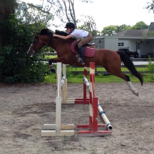 Child riding a horse jumping over a obstacle outdoors, with trees and a house in the background.