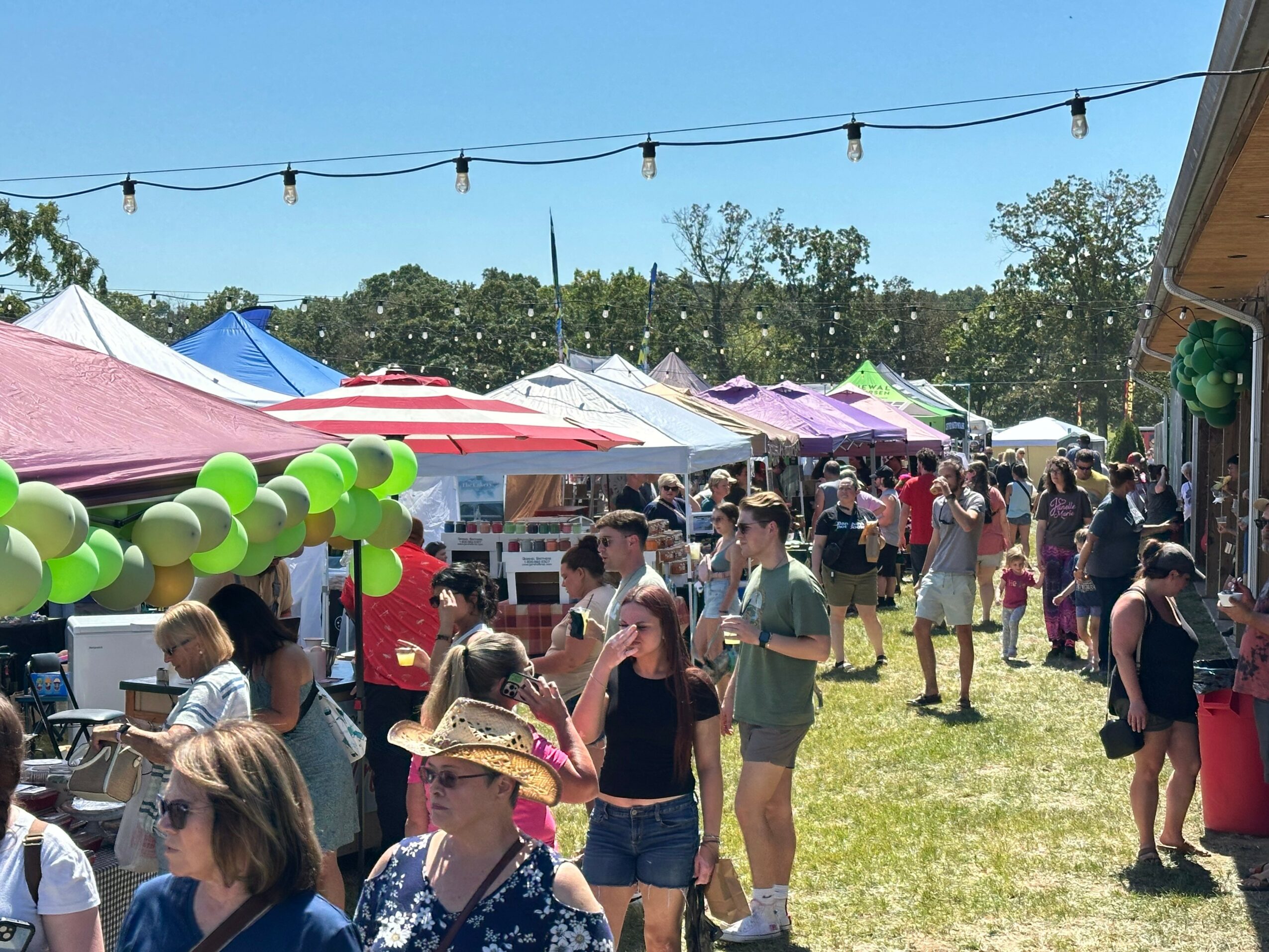 Outdoor market with tents, people walking, and balloons, under string lights on a sunny day.