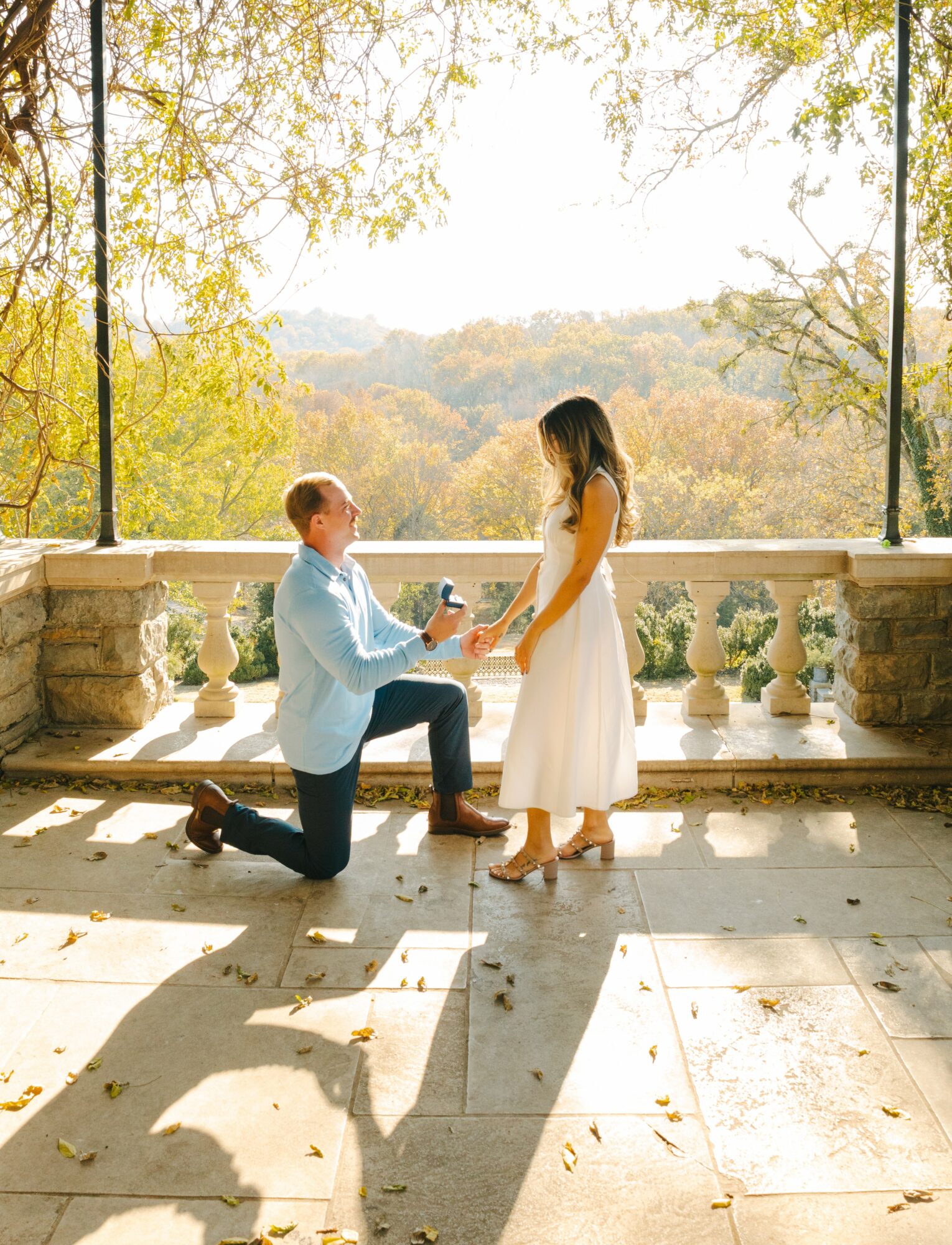 A person kneeling on one knee offers a ring to a standing woman on a balcony with a scenic landscape background.