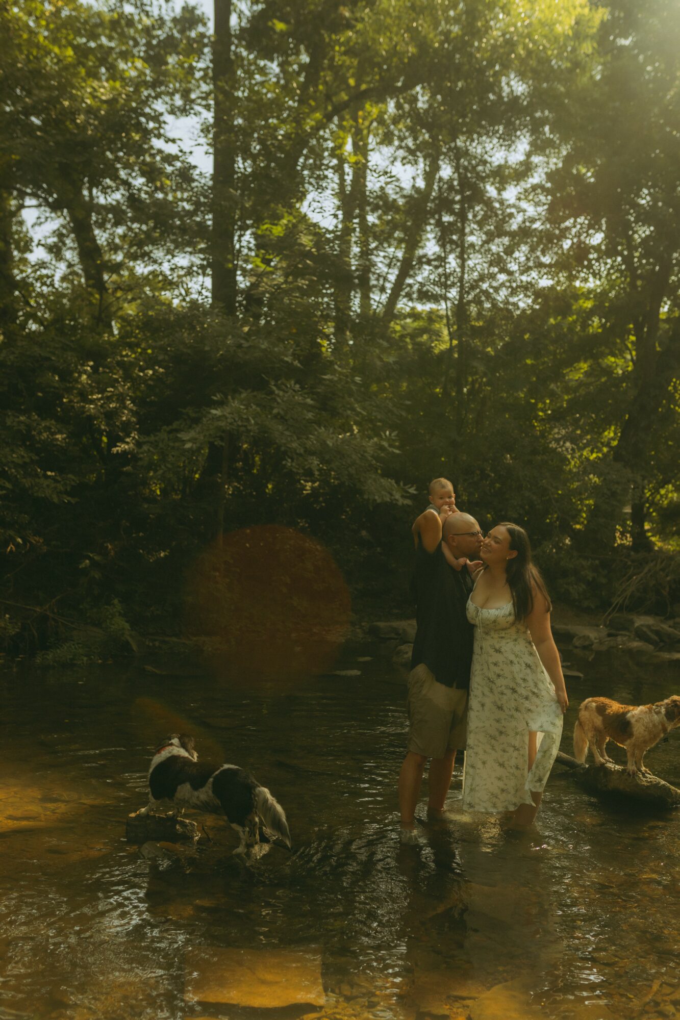 Two people stand in a shallow river surrounded by trees, with dogs nearby, sunlight filtering through leaves.
