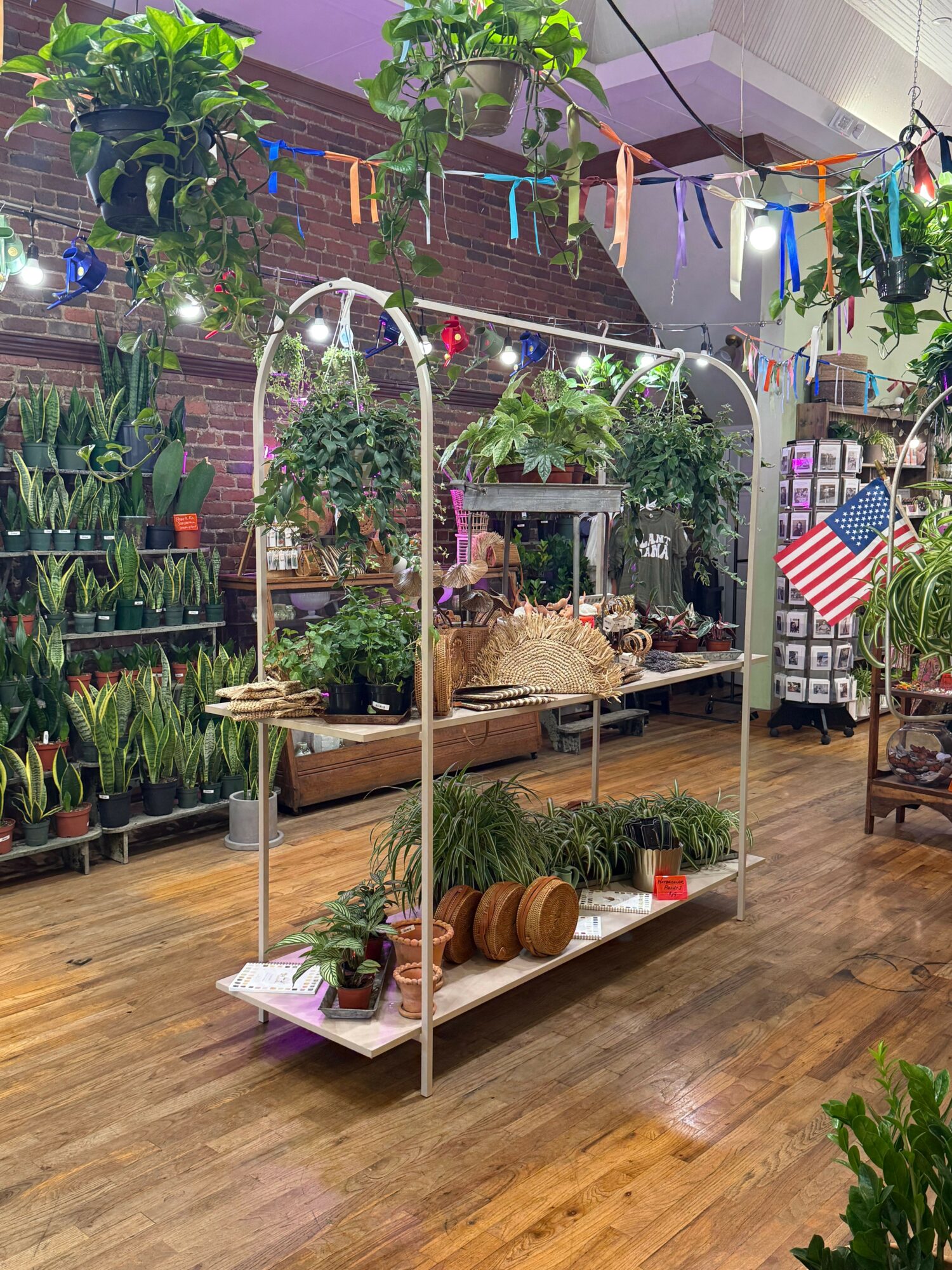 Indoor space with plants, string lights, and decorations, including an American flag, on a wooden floor.
