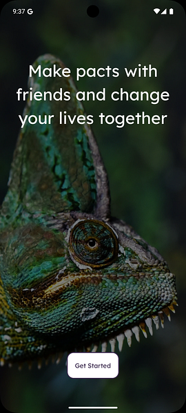 Close-up of a chameleon with text about making pacts with friends and changing lives together.