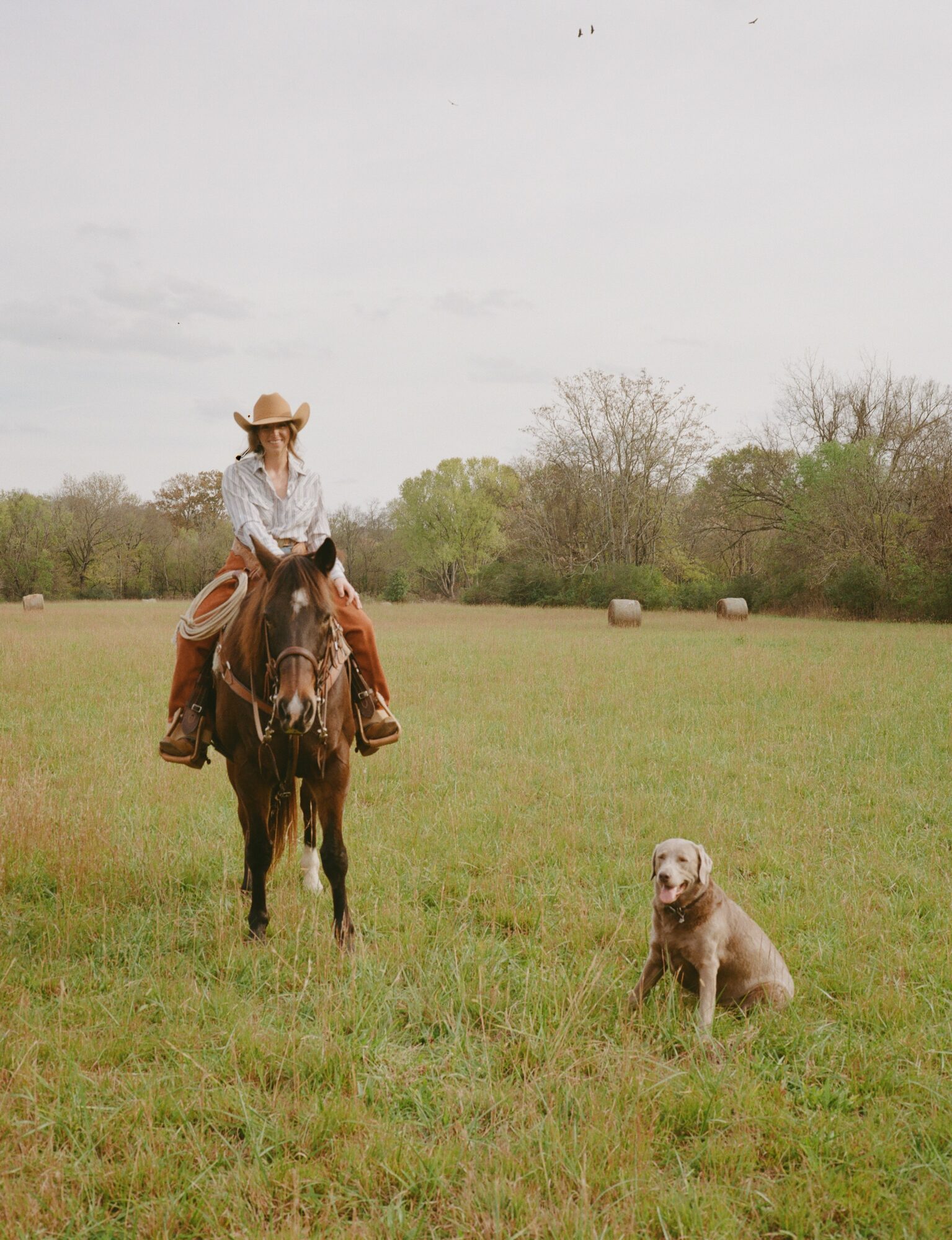 Person riding a horse in a grassy field with a dog sitting nearby, trees in the background, overcast sky.