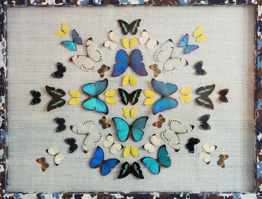 Collection of colorful butterfly decorations arranged symmetrically on a light background, framed by a border.