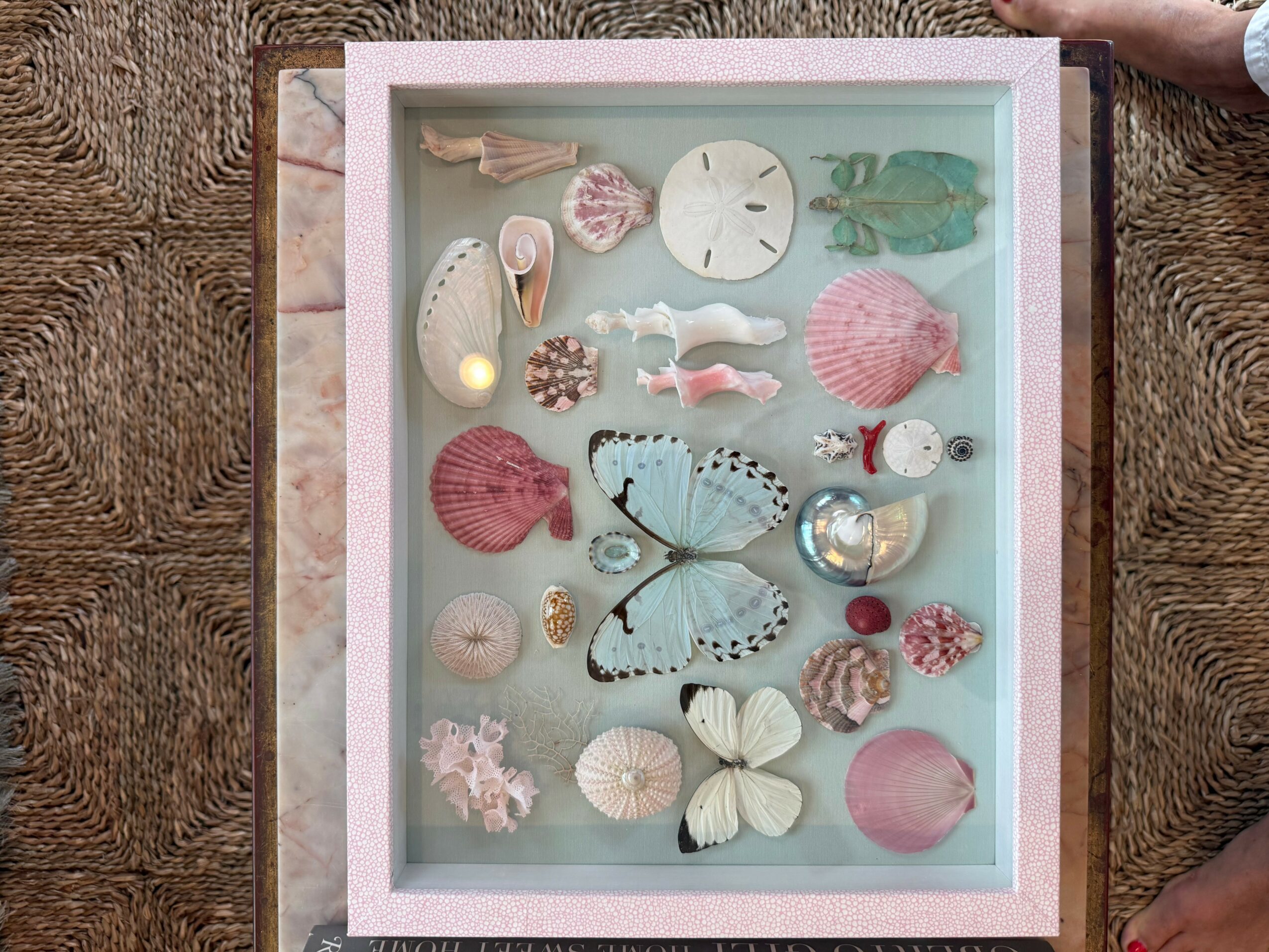 Box with seashells, a butterfly, and a clock, viewed from above, on a textured surface.