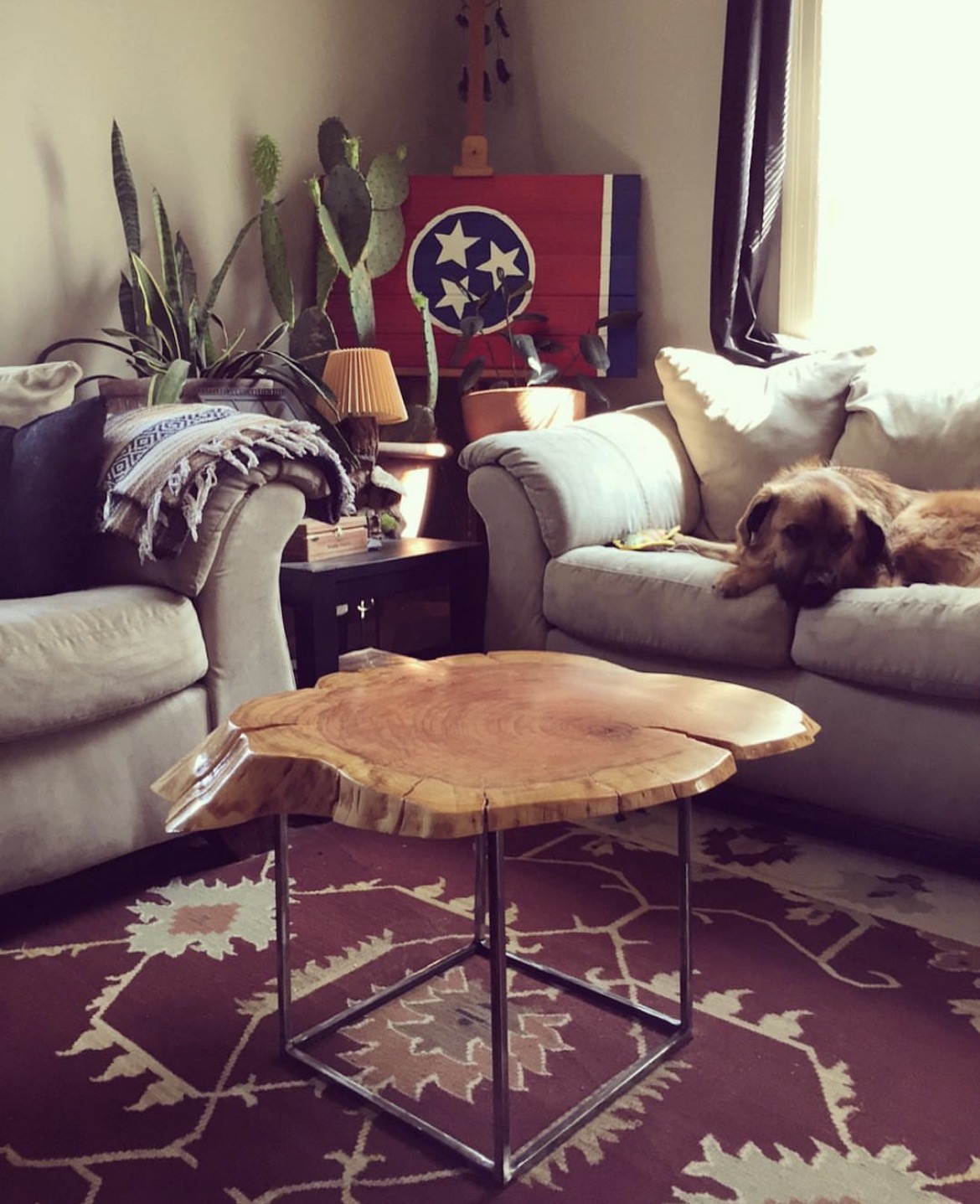 Living room with two sofas, a wooden coffee table, plants, and a dog resting on one sofa, sunlight streaming in.
