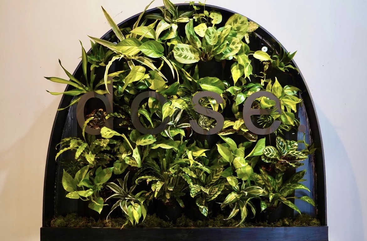 Green plants arranged in a black semi-circular frame with the word 'HOUSE' in large letters, against a light background.