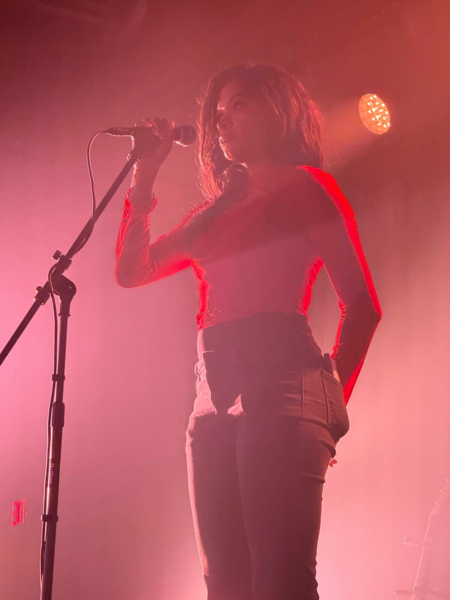 A woman with shoulder-length hair holds a microphone on stage, illuminated by pink and orange stage lights.