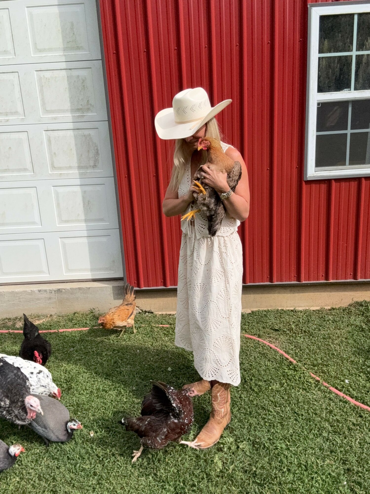 Person in white dress and hat holding a dog outside red building, with two chickens nearby on grass.