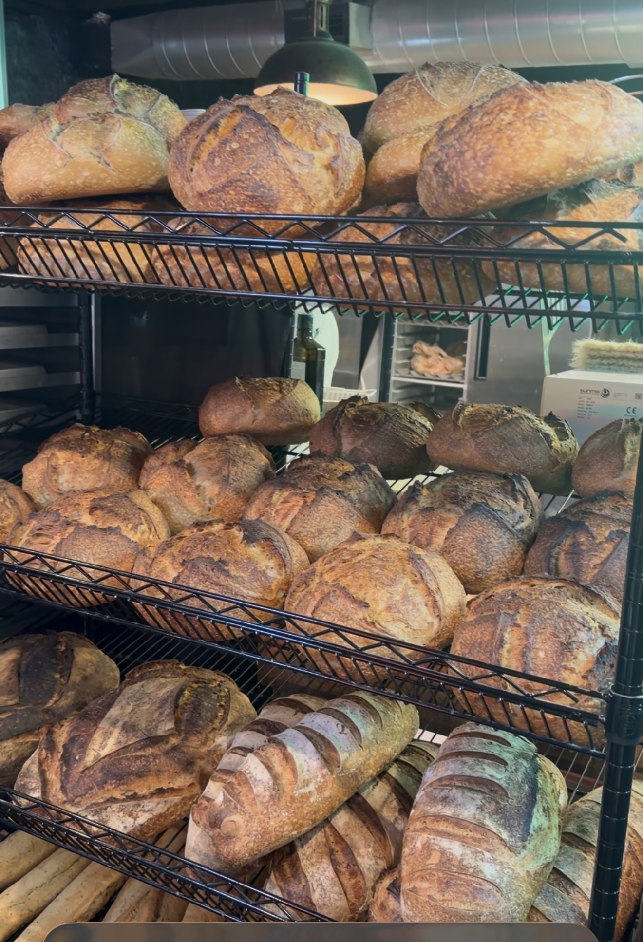 Display of various bread loaves on black wire shelves in a bakery, with different shapes and textures.
