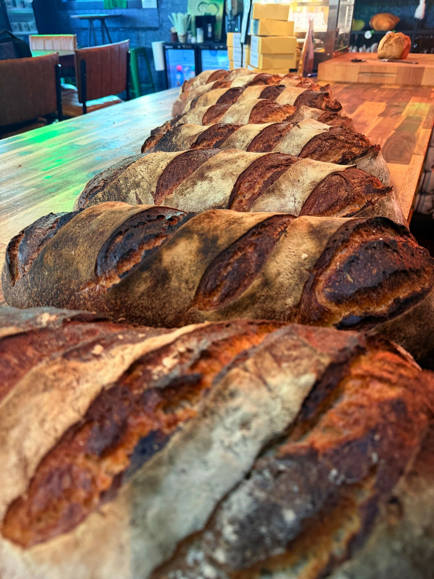 Multiple loaves of bread with crusty tops arranged on a wooden surface in a row, in a bakery or restaurant setting.