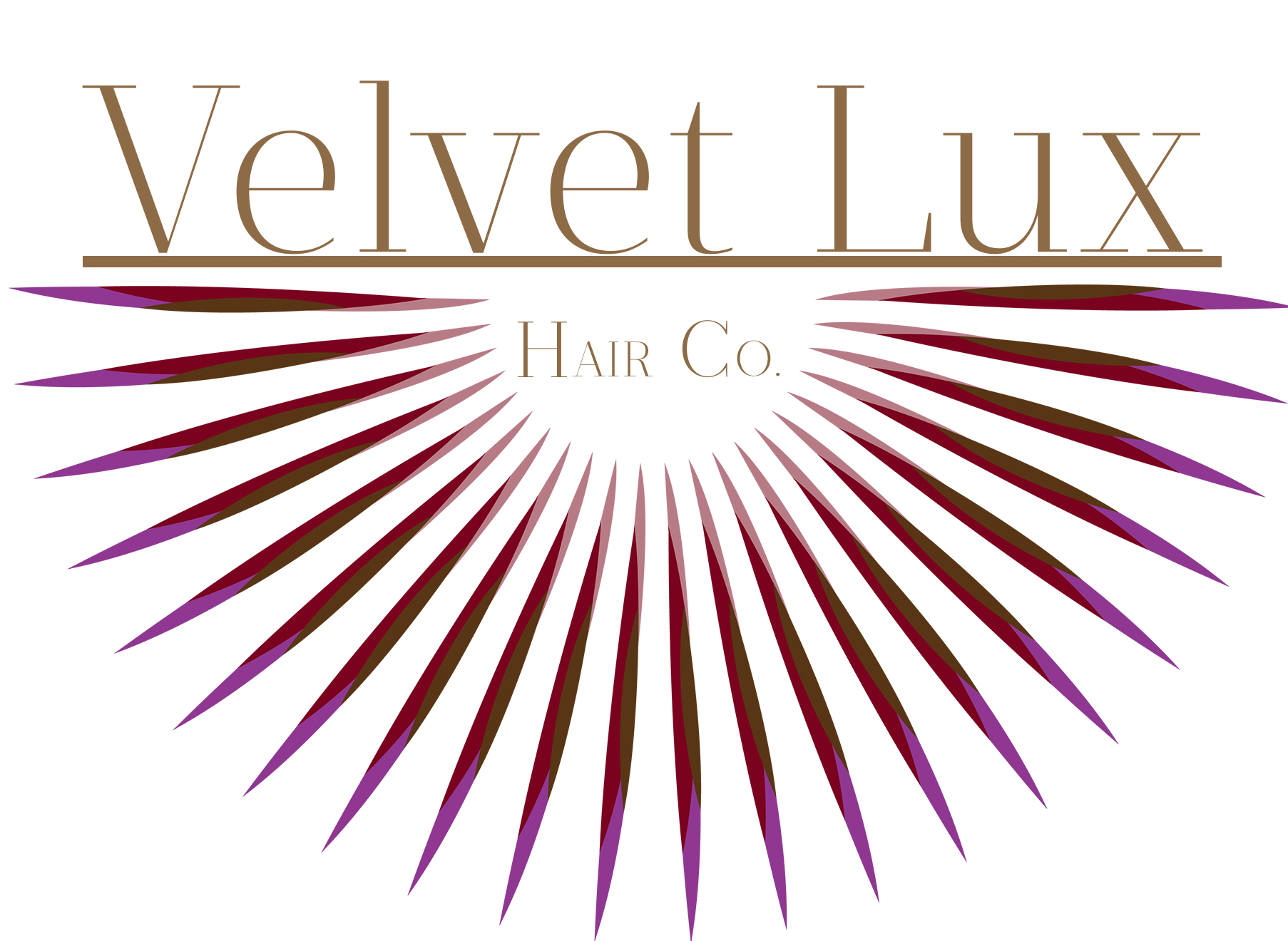 Logo with text 'Velvet Lux Hair Co.' and a radiating purple and brown fan design.