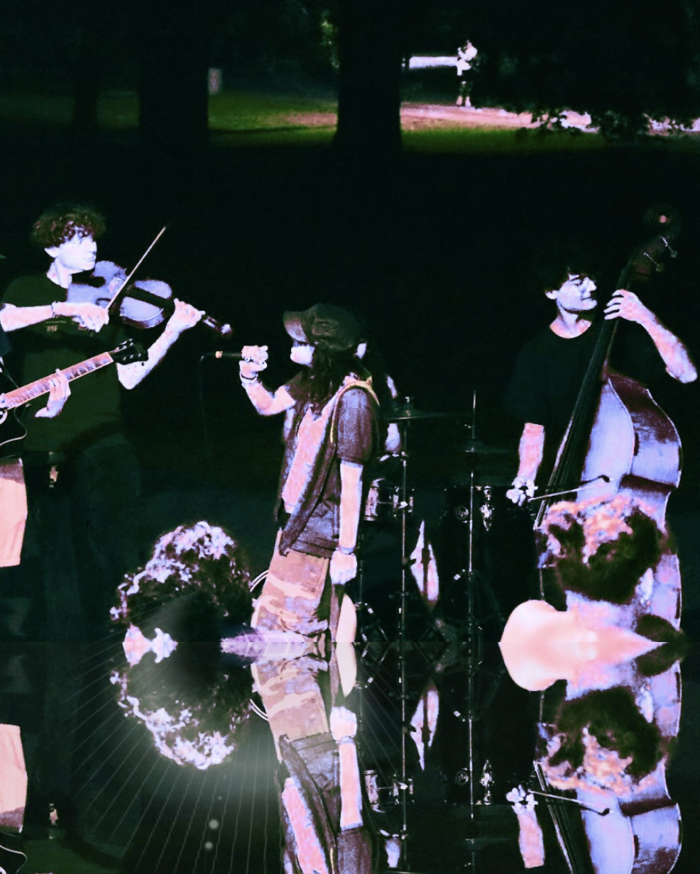 Group of musicians performing outdoors at night, with a person singing and others playing violin, guitar, and double bass, audience visible.