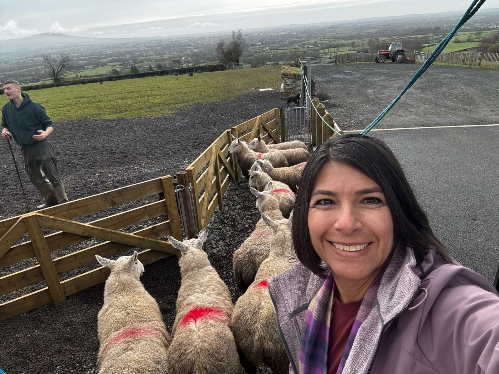 Woman taking a selfie with sheep behind a wooden fence on a farm, cloudy sky, person in background, smiling.