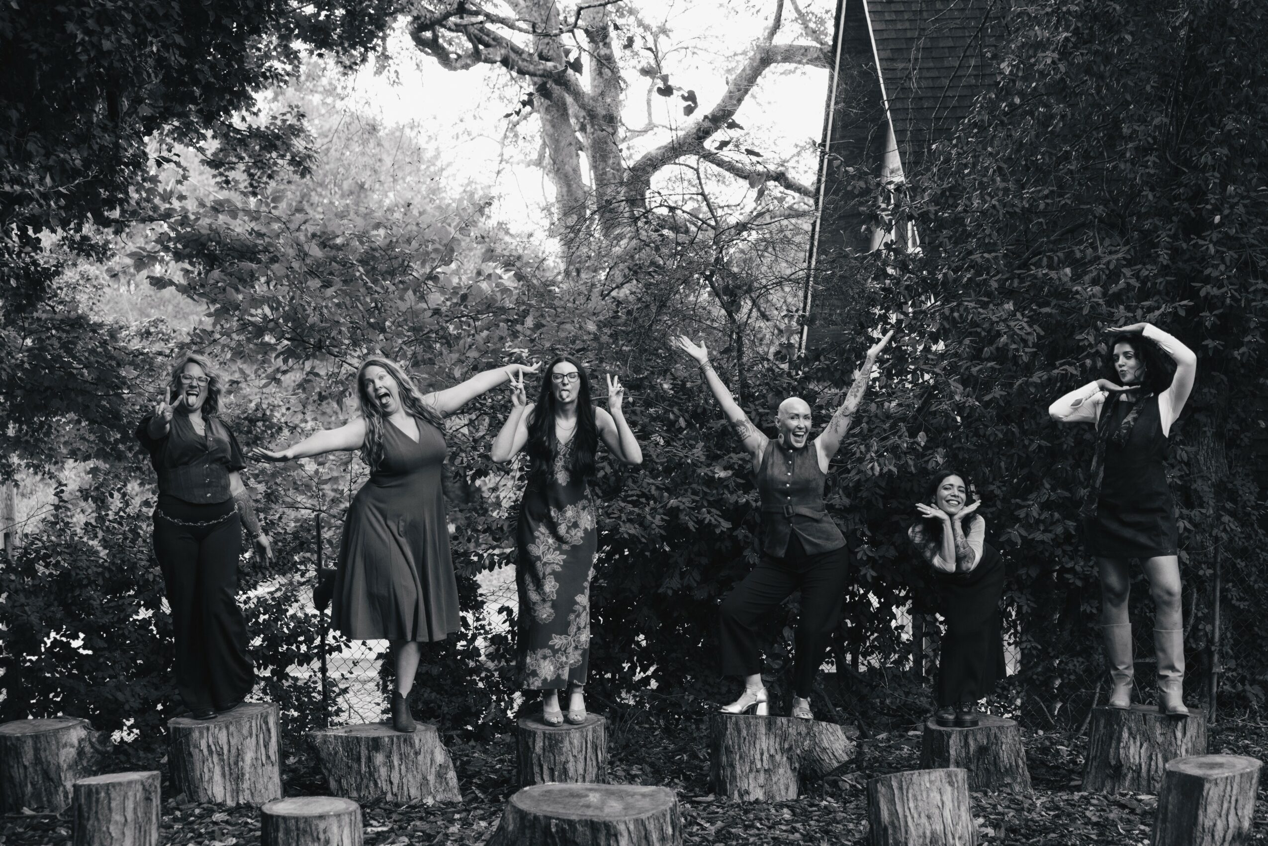Six people standing on tree stumps outdoors, holding hands and raising arms, surrounded by trees and foliage.