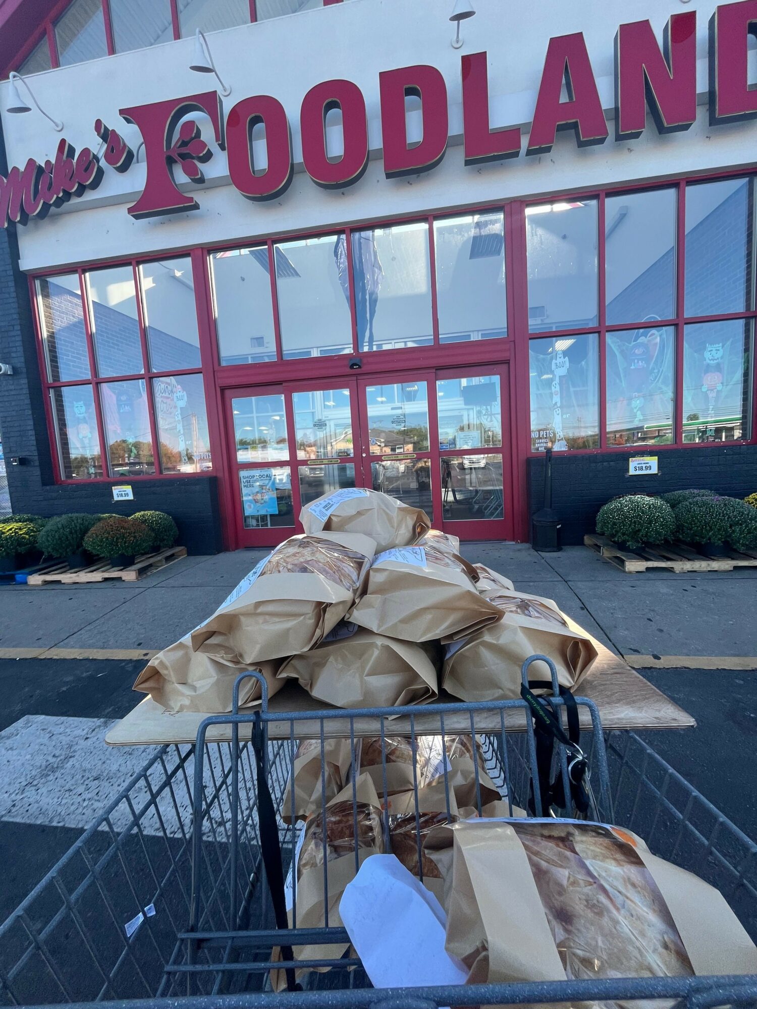 Shopping cart outside a store with a red sign reading 'WOODLAND'. Items wrapped in paper inside the cart.