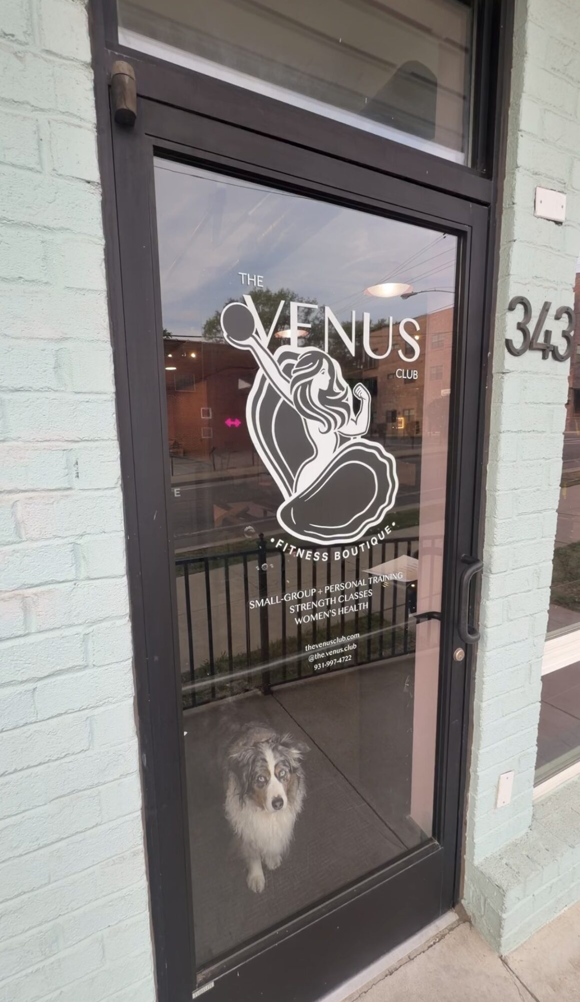 Glass door with a logo of a woman with flowing hair and the text 'Venus' and 'The Venus' on it. A dog is looking through the glass.